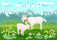 Postkarte Ziegen in den Bergen