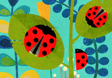 Postkarte Marienkäfer