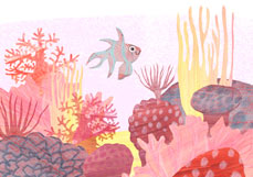 Postkarte Korallenriff