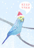 Postkarte KEEP WARM - Wellensittich