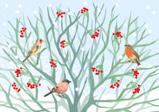 Postkarte Wintergäste im Beerenstrauch