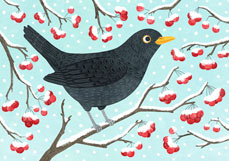 Postkarte Winteramsel