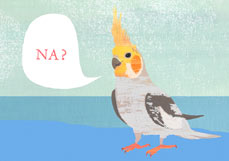 Postkarte NA? - Nymphensittich