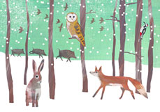 Postkarte Tiere im Winterwald