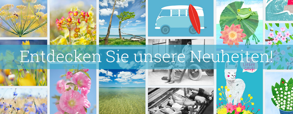 Neuheiten Frühjahr Sommer 2023